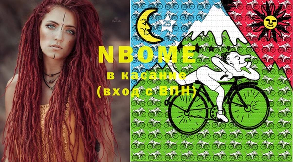 шишки Абаза